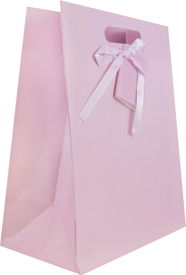 Light Pink Large Pinstripe Gift Bags (10 x 13 x 5)