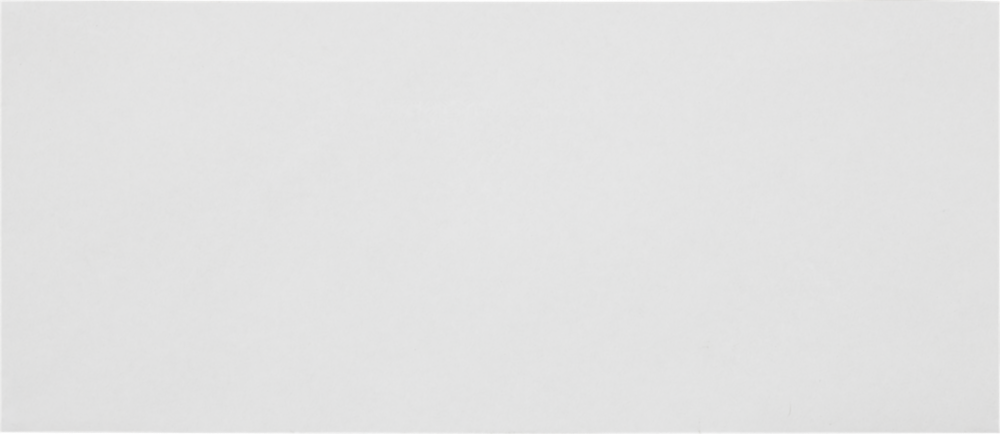 White with Security Tint 24lb #10 Regular Envelopes (4 1/8 x 9 1/2)