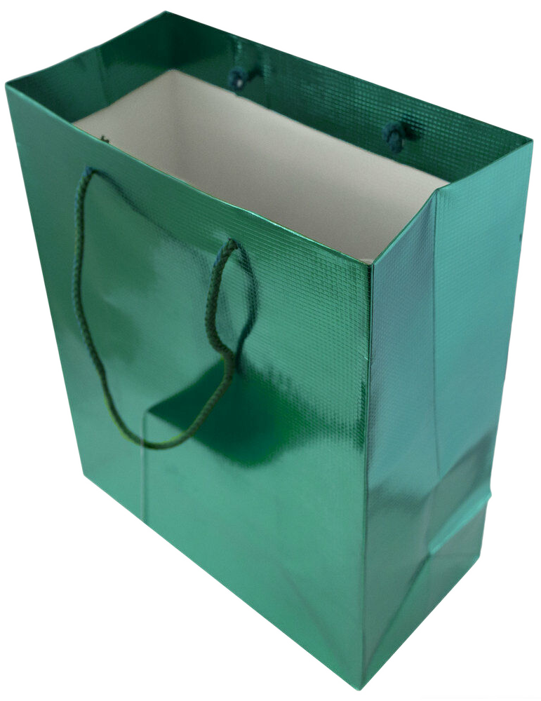 Teal Foil Medium Checkered Gift Bags (8 x 10 x 4)