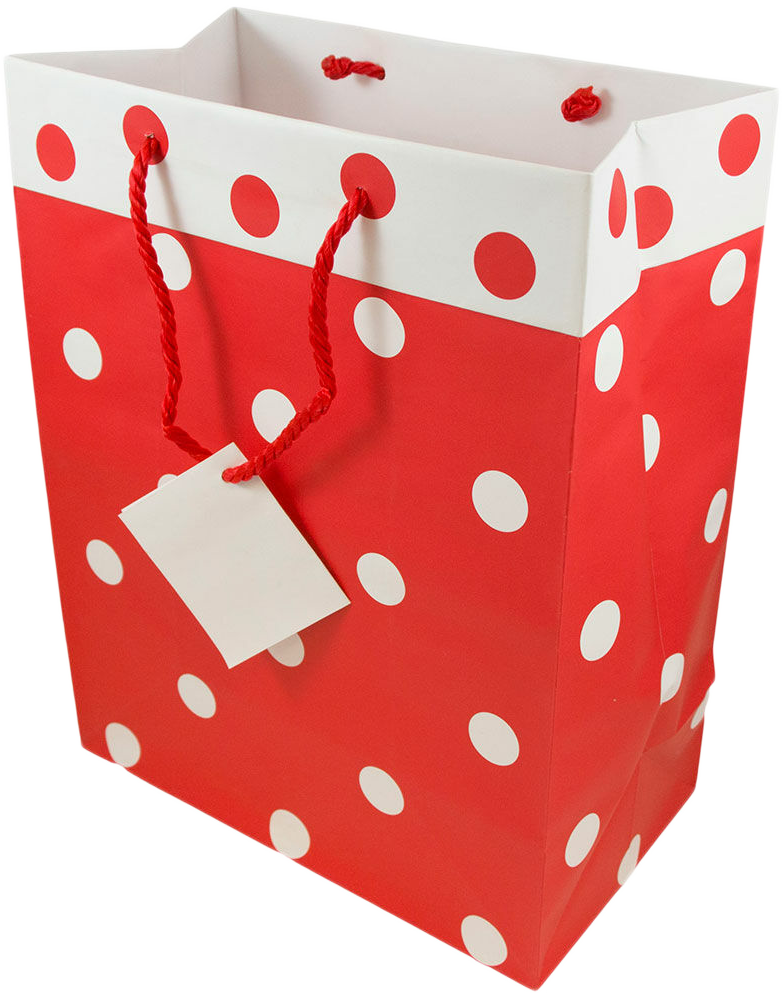 Red and White Polka Dot Large Gift Bags (10 x 13 x 6)