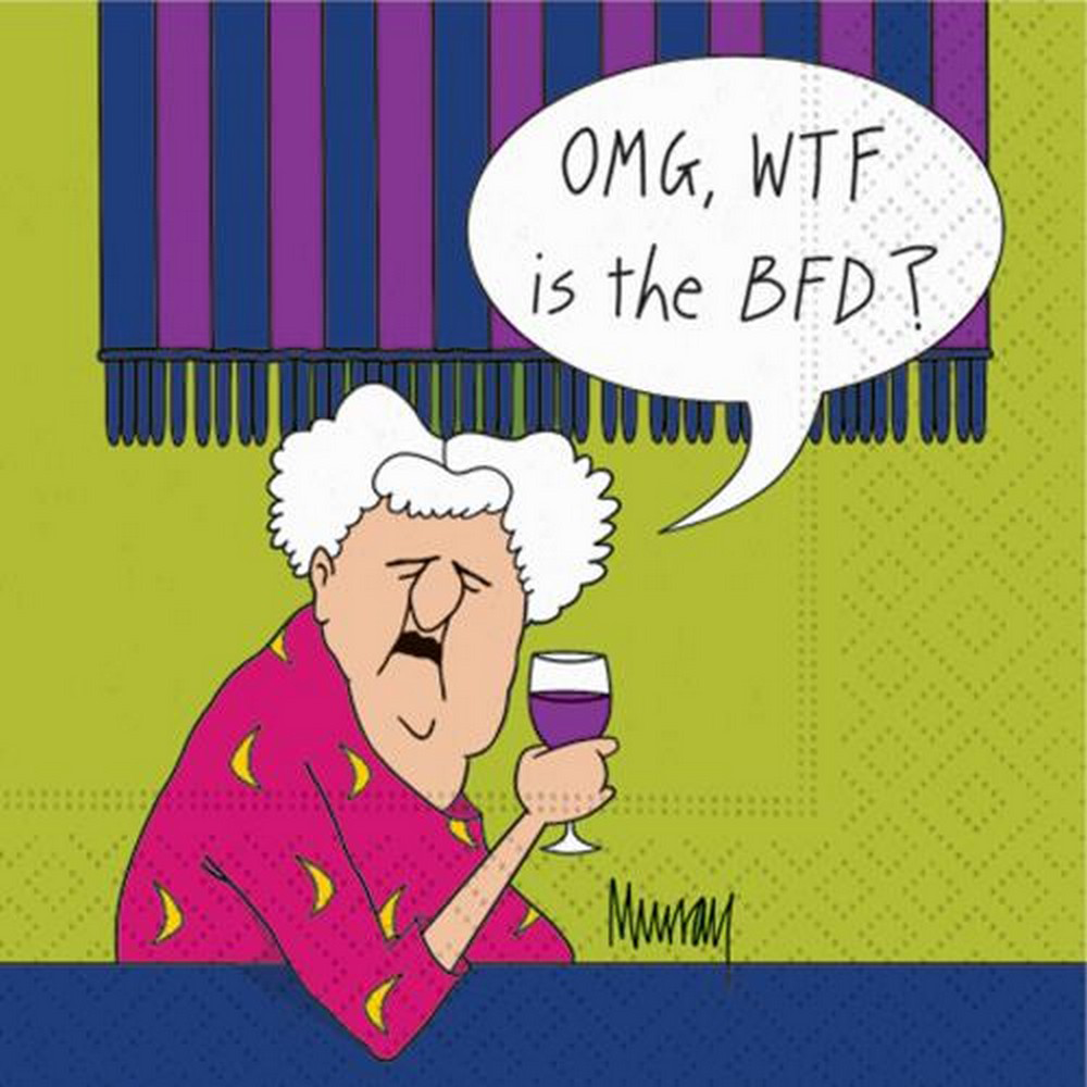 OMG WTF BFD 5 x 5 Novelty Holiday Cocktail Napkins - 20 Pack