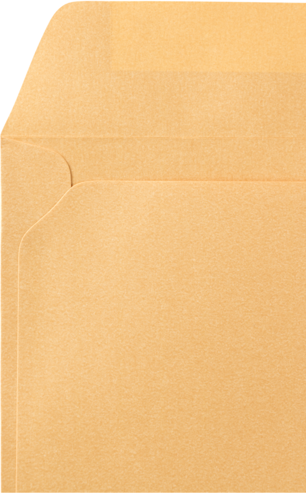 Gold Metallic 32lb 6 x 9 Booklet Envelopes