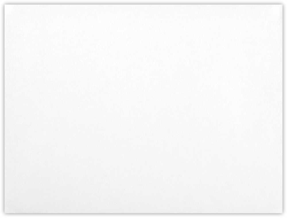 White with Security Tint 24lb 6 x 9 Booklet Envelopes