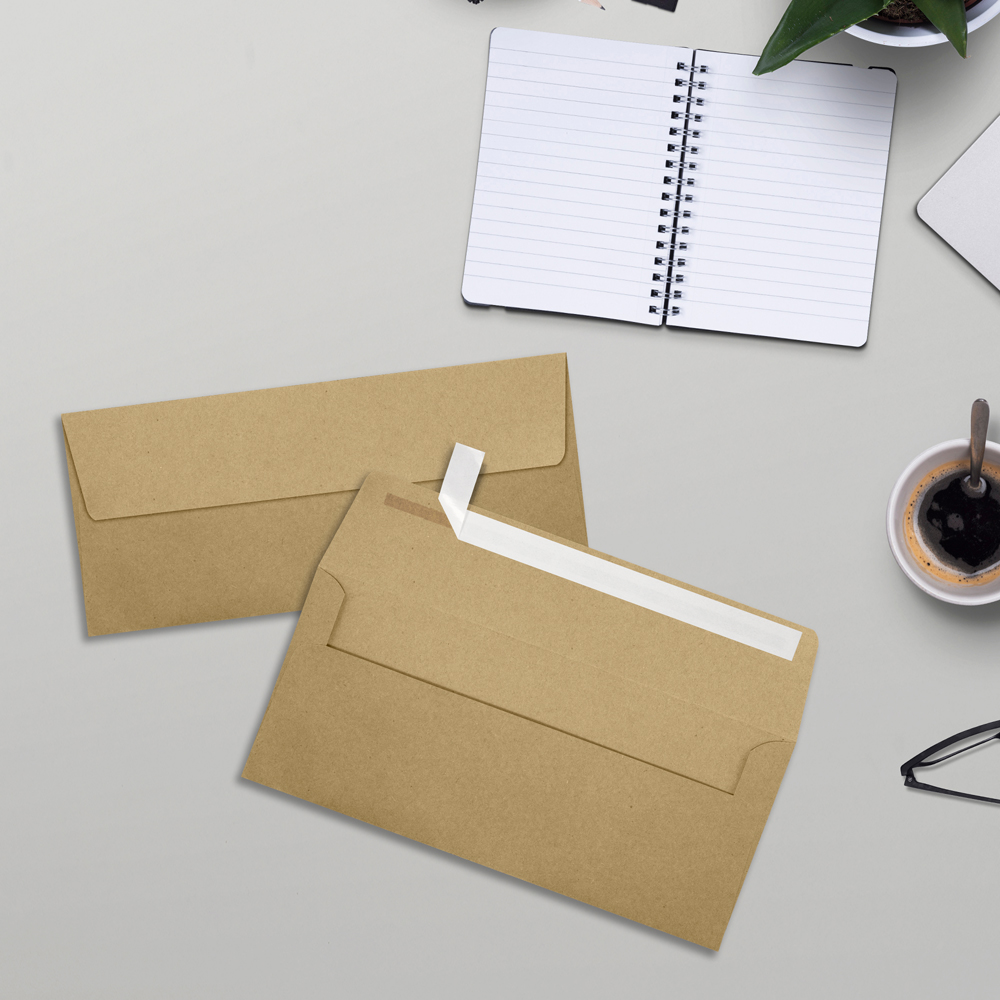 Grocery Bag 28lb #10 Square Flap Envelopes (4 1/8 x 9 1/2) with Peel & Seal
