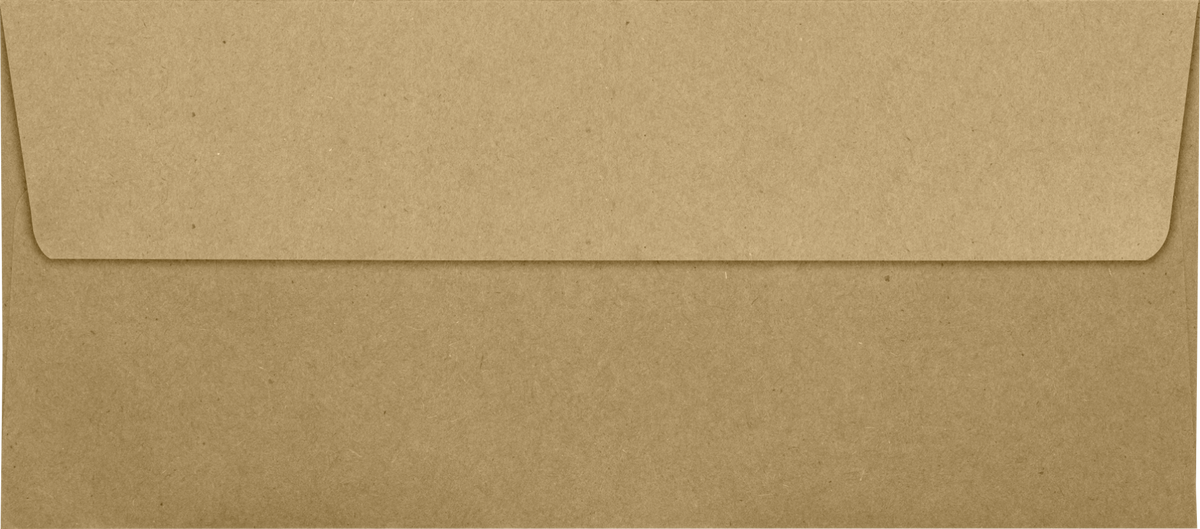 Grocery Bag 28lb #10 Square Flap Envelopes (4 1/8 x 9 1/2) with Peel & Seal