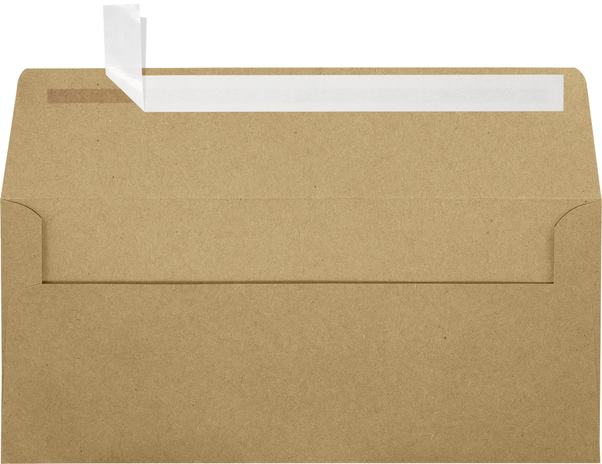 Grocery Bag 28lb #10 Square Flap Envelopes (4 1/8 x 9 1/2) with Peel & Seal