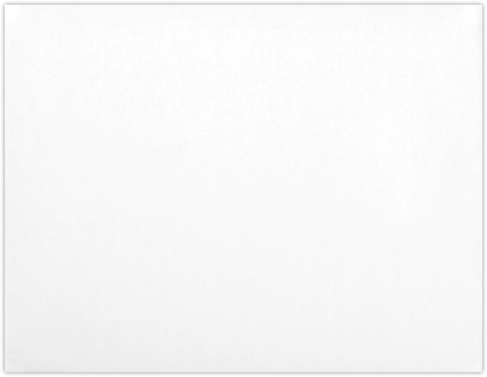 White with Security Tint 24lb 10 x 13 Booklet Envelopes