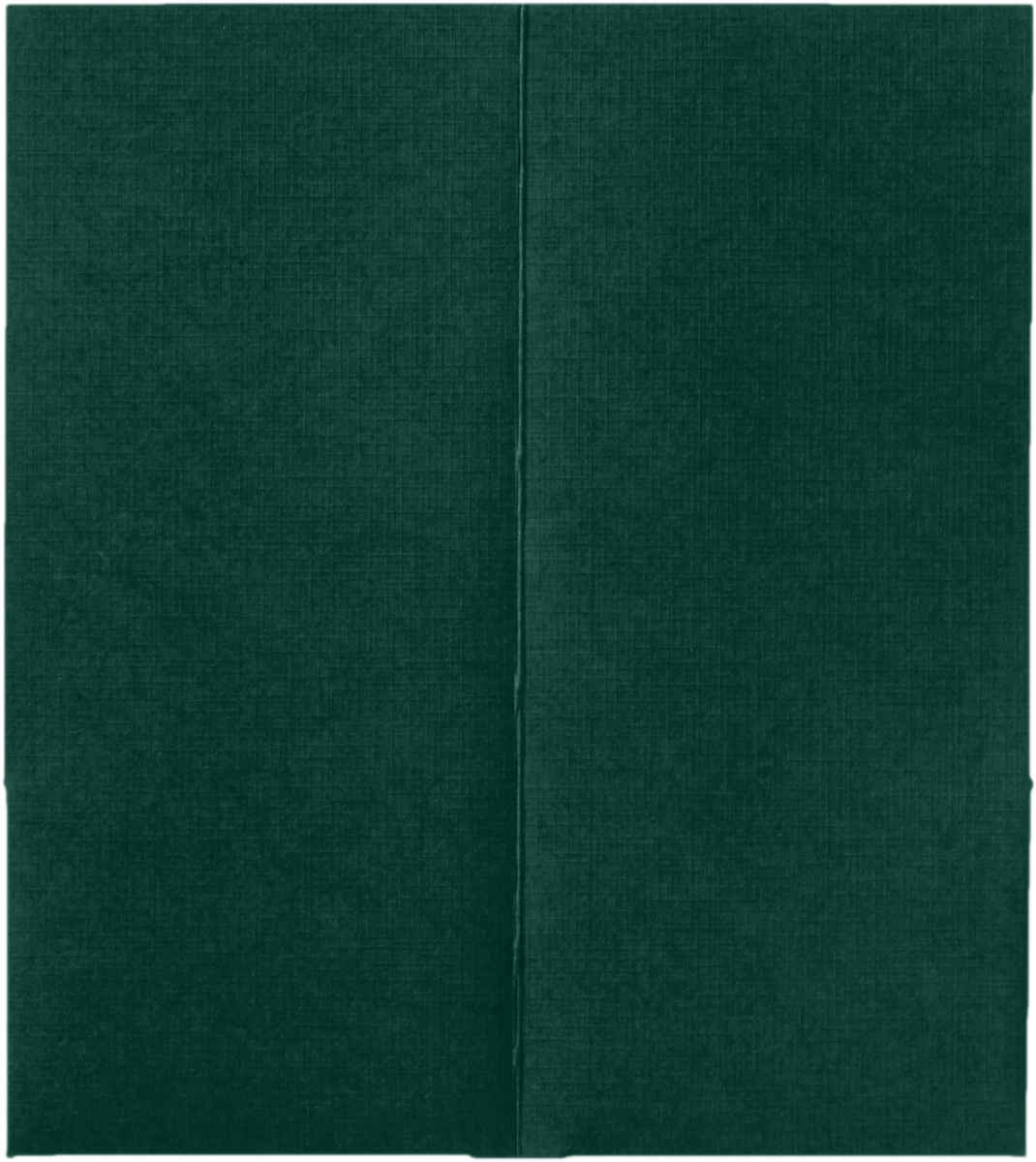 Deep Pine Linen 4 x 9 Mini Folders
