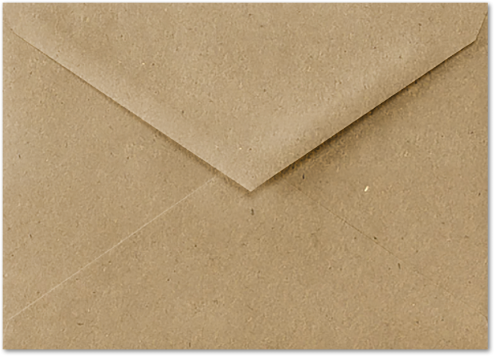 Grocery Bag 28lb 4 Bar V Flap Envelopes (3 5/8 x 5 1/8)