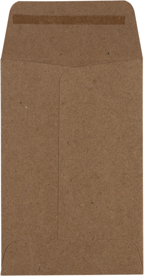 Grocery Bag 28lb #4 Coin Envelopes (3 x 4 1/2)