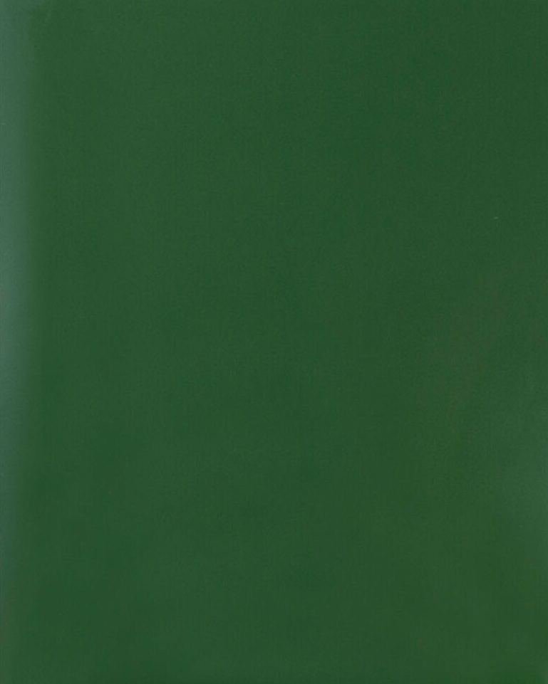 Glossy Green 9 x 12 Standard Folders