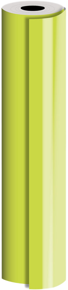 Lime Green Matte Bulk Wrapping Paper (1042.5 Sq Ft)