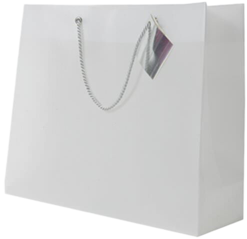 Clear Translucent Larges Shopping Bags (13 x 10 1/2 x 4)