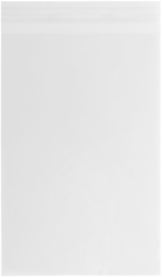 Clear 1.6mil 12 7/16 x 18 1/4 Cello Envelopes with Peel & Seal
