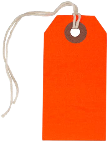 Neon Red Small Gift Tags (3 1/4 x 1 5/8) - 10 Pack