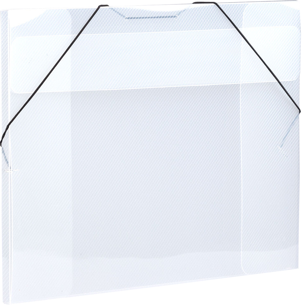 Clear Grid 11 x 15 x 1/2 Plastic Portfolios with Elastic