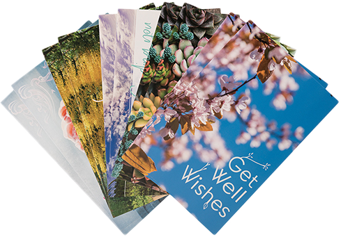 Nature Get Well Assortment Card Set