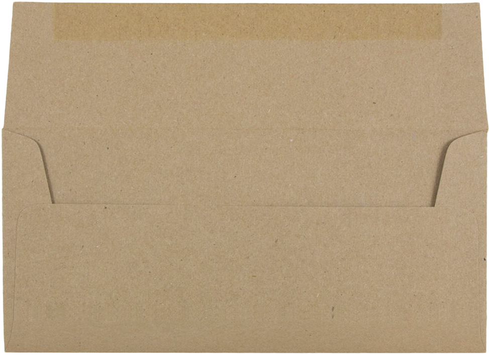 Grocery Bag 28lb #10 Square Flap Envelopes (4 1/8 x 9 1/2)