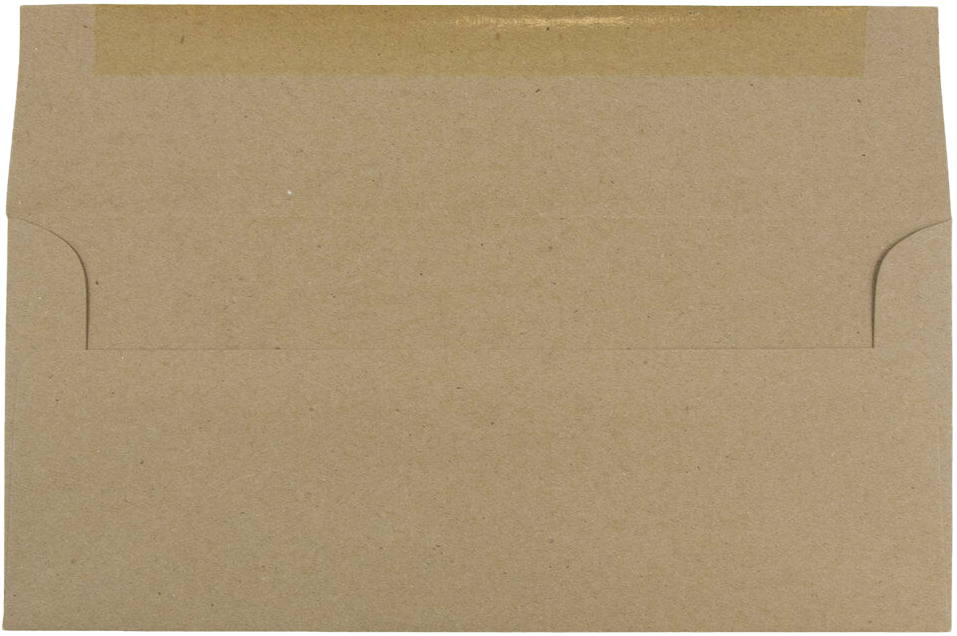 Grocery Bag 28lb #10 Square Flap Envelopes (4 1/8 x 9 1/2)
