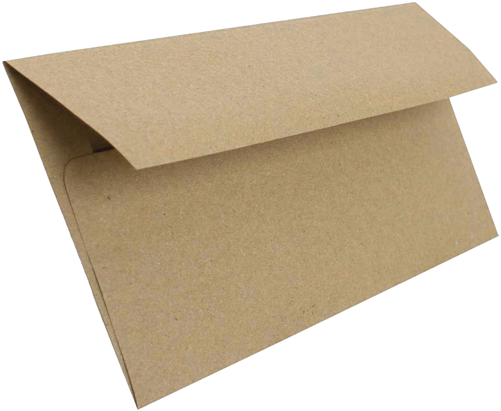 Grocery Bag 28lb #10 Square Flap Envelopes (4 1/8 x 9 1/2)
