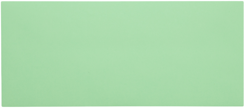 Pastel Green 24lb #10 Regular Envelopes (4 1/8 x 9 1/2)