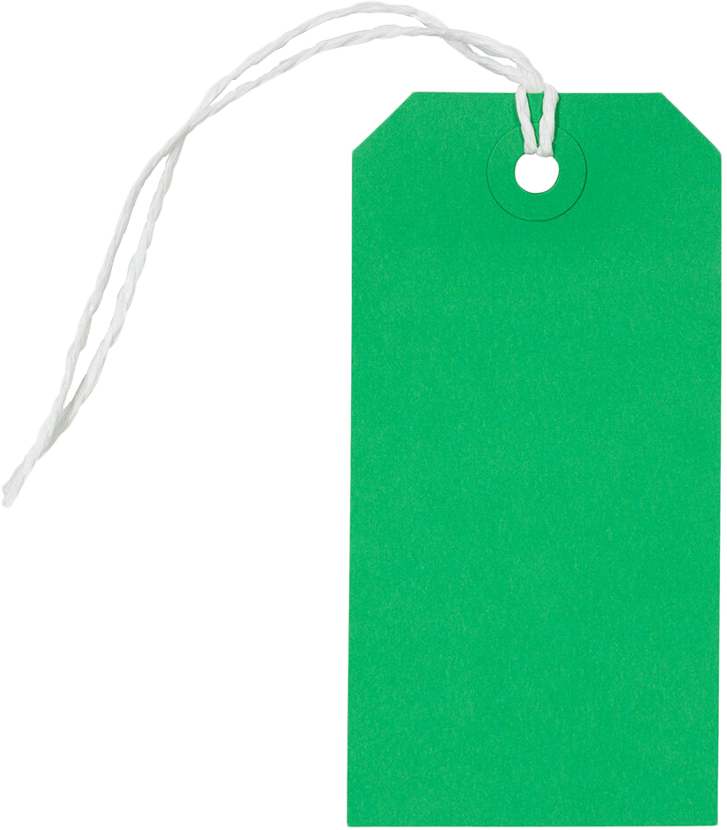 Green Medium Gift Tags (4 1/4 x 2 3/8) - 10 Pack