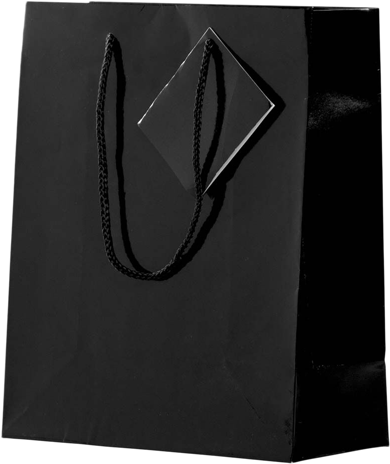 Black Glossy Medium Gift Bags (8 x 10 x 4)