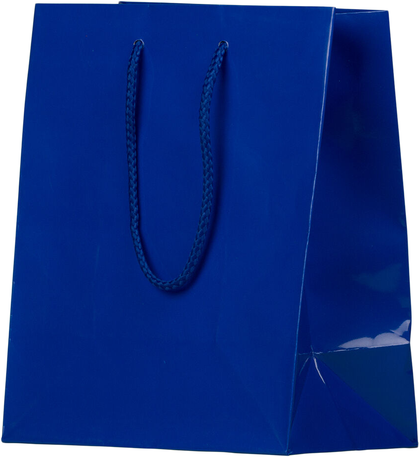 Blue Medium Glossy Gift Bag (8 x 10 x 4)