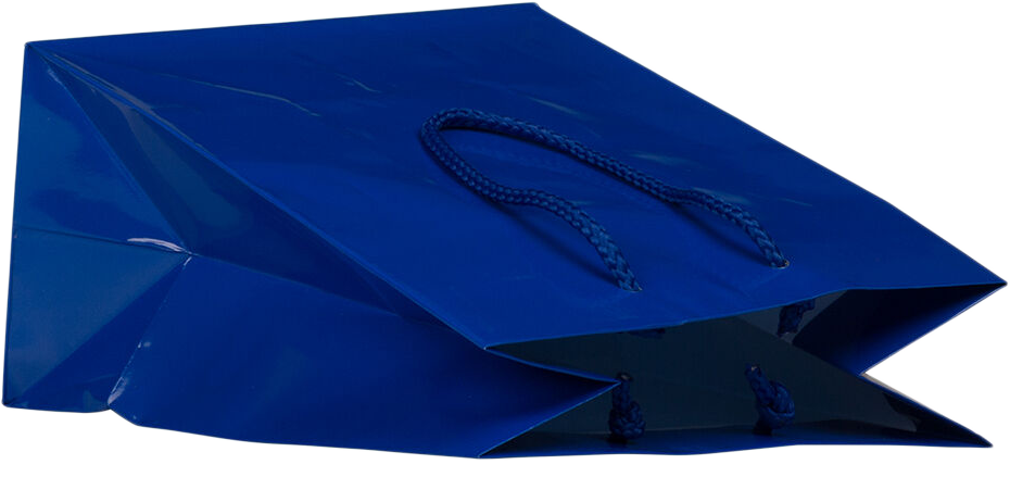 Blue Medium Glossy Gift Bag (8 x 10 x 4)
