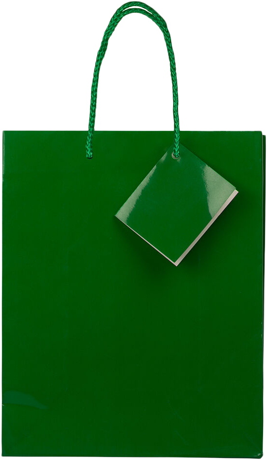 Green Medium Glossy Gift Bags (8 x 10 x 4)