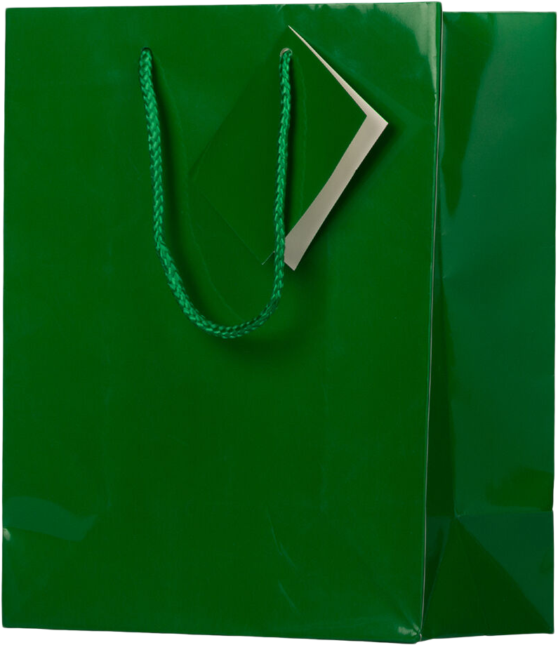 Green Medium Glossy Gift Bags (8 x 10 x 4)