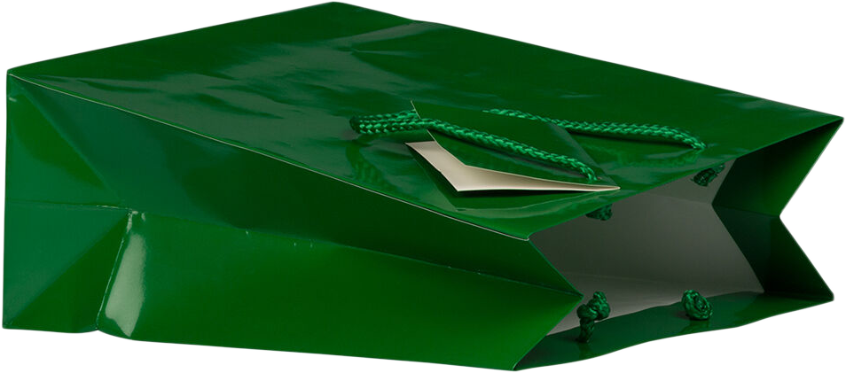 Green Medium Glossy Gift Bags (8 x 10 x 4)