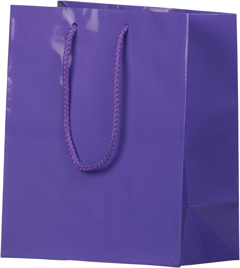 Purple Medium Glossy Gift Bags (8 x 10 x 4)