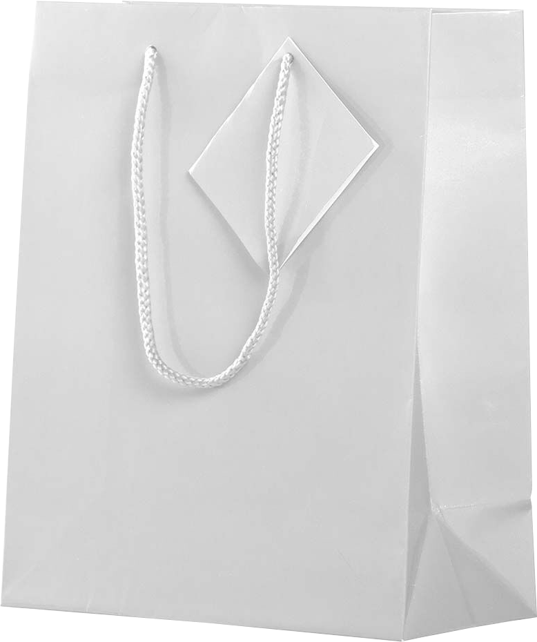 White Medium Glossy Gift Bags (8 x 10 x 4)