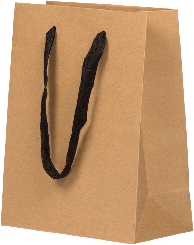 Brown Kraft Recycled Medium Matte Heavy Duty Gift Bags (8 x 10 x 4)