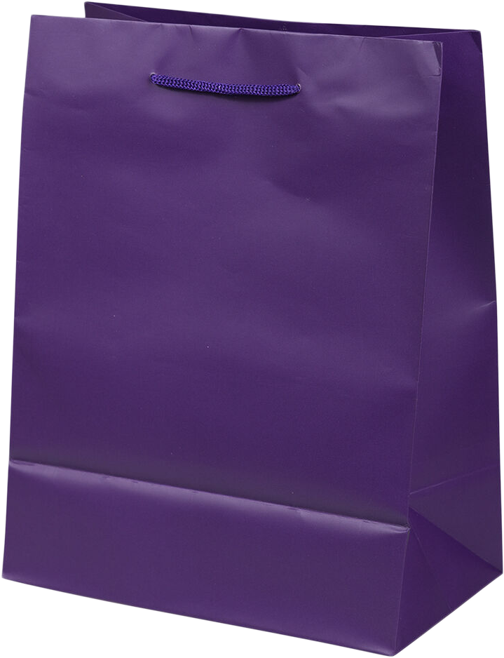 Purple Medium Matte Gift Bags (8 x 10 x 4)