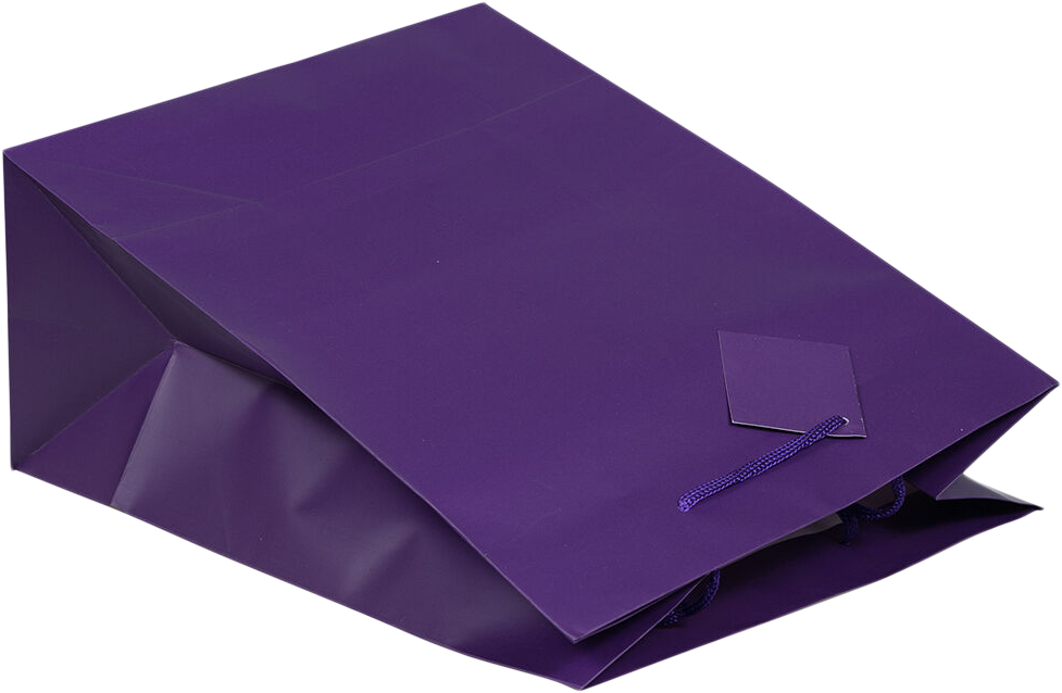 Purple Medium Matte Gift Bags (8 x 10 x 4)