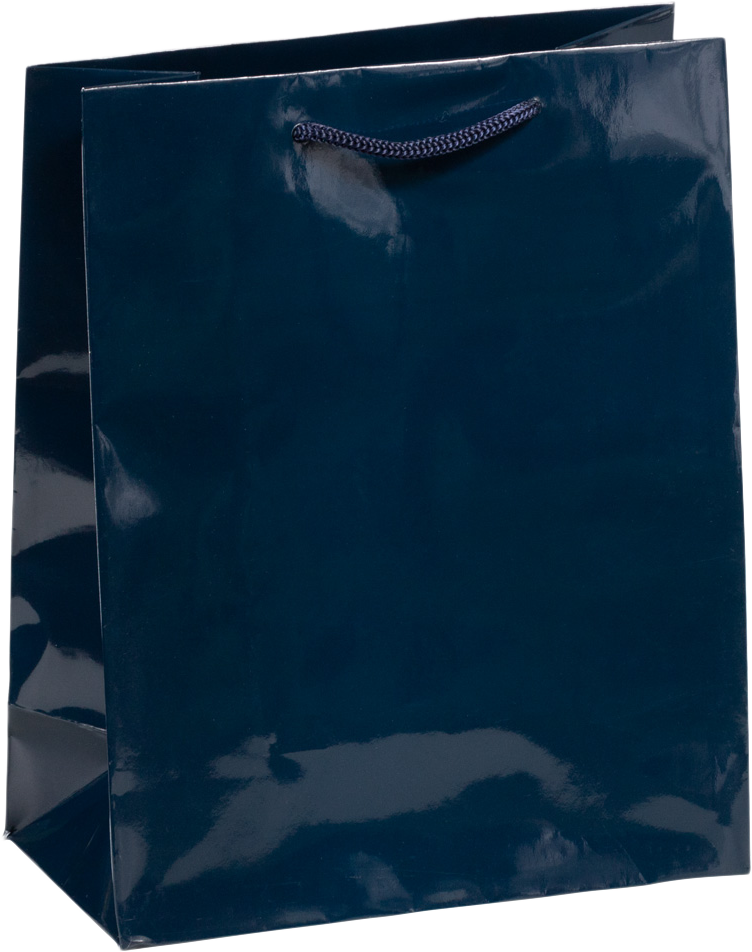 Navy Medium Glossy Gift Bags (8 x 10 x 4)