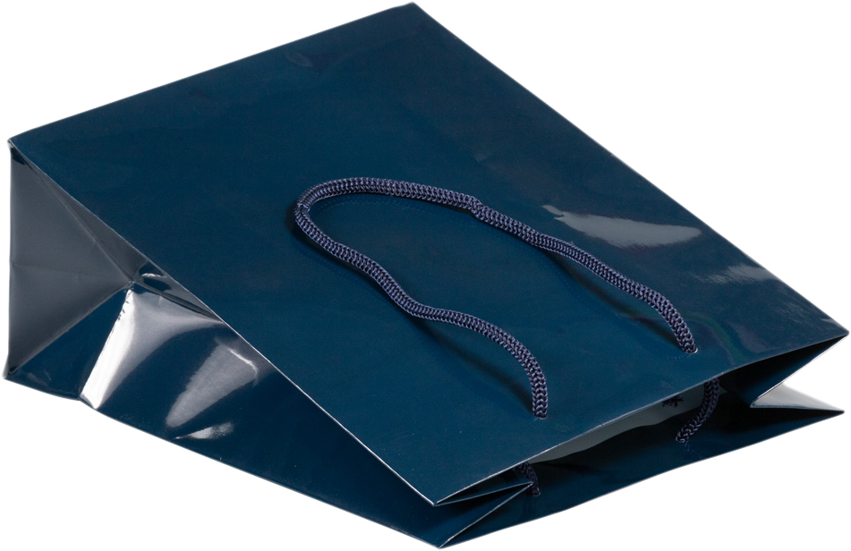 Navy Medium Glossy Gift Bags (8 x 10 x 4)