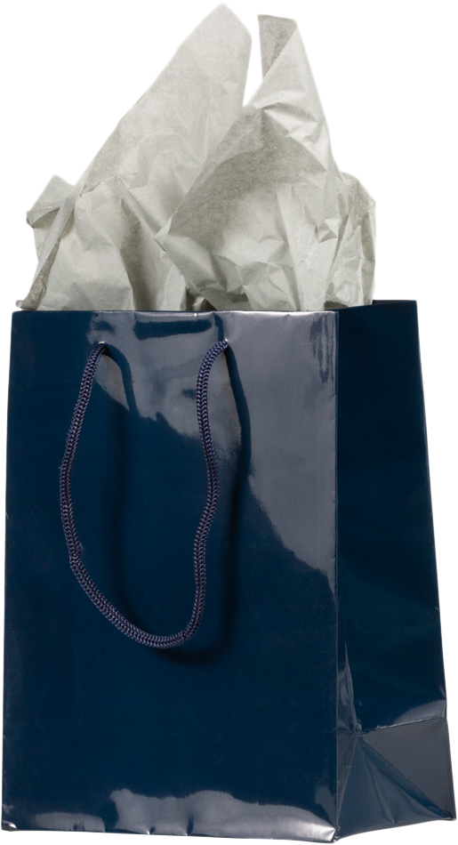Navy Medium Glossy Gift Bags (8 x 10 x 4)