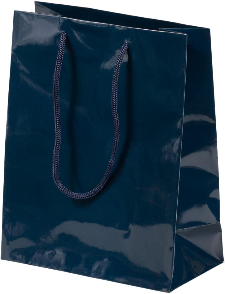 Navy Medium Glossy Gift Bags (8 x 10 x 4)
