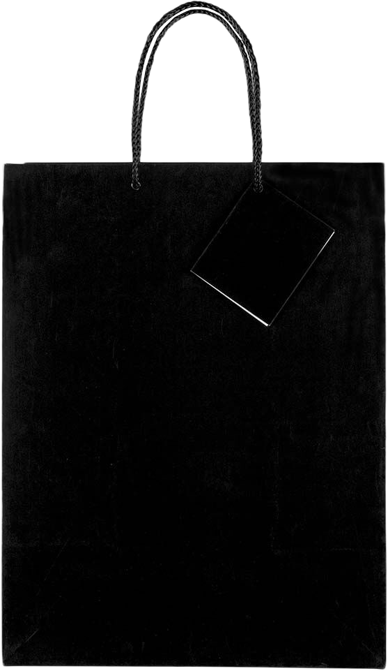 Black Large Glossy Gift Bags (10 x 13 x 5)