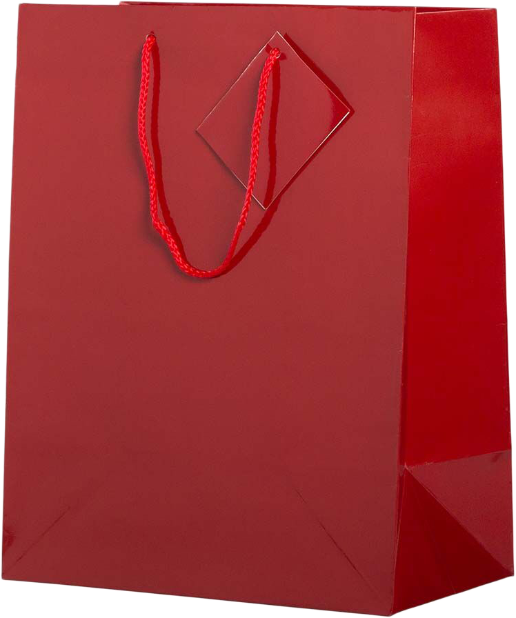 Red Large Glossy Gift Bags (10 x 13 x 5)