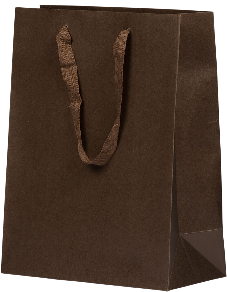 Chocolate Brown Kraft Recycled Large Matte Heavy Duty Gift Bags (10 x 13 x 5)