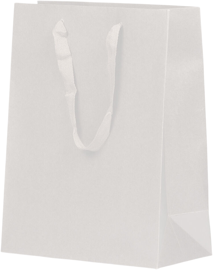 White Kraft Recycled Large Matte Heavy Duty Gift Bags (10 x 13 x 5)