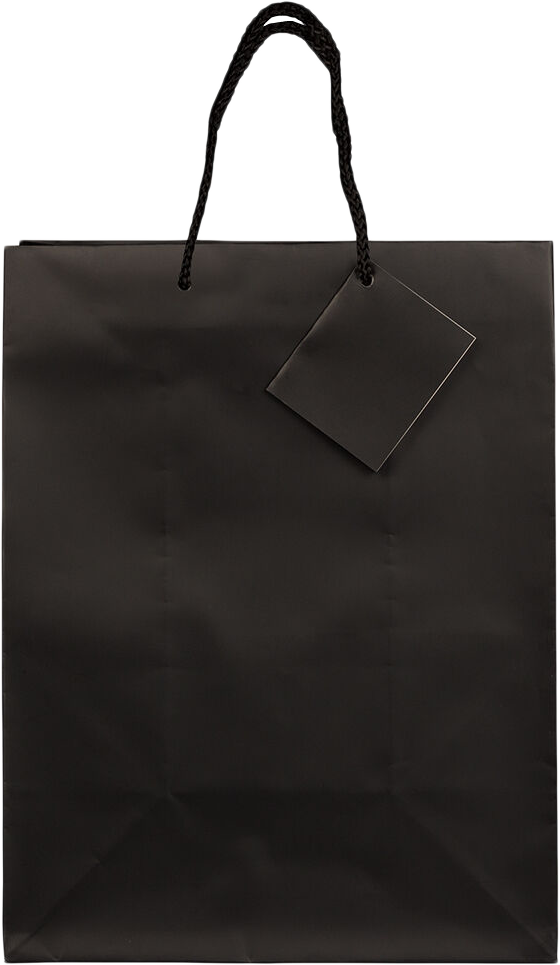 Black Large Matte Gift Bags (10 x 13 x 5)