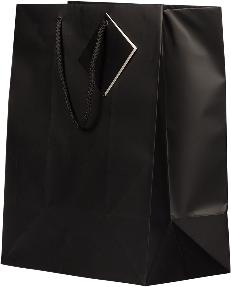 Black Large Matte Gift Bags (10 x 13 x 5)