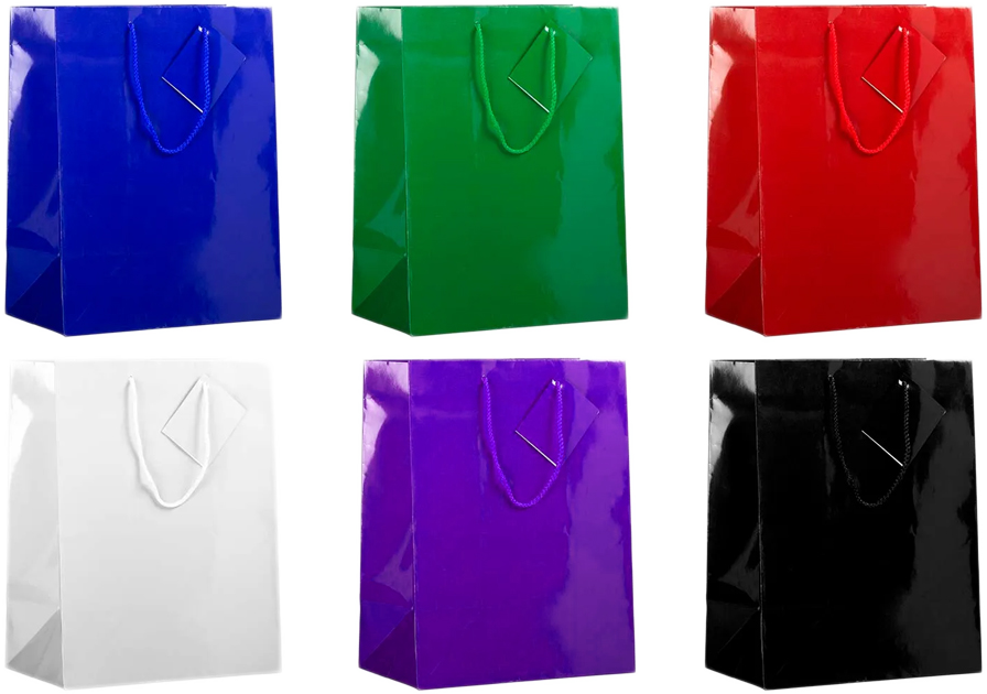 Assorted Large Glossy Gift Bags (10 x 13 x 5) - 6 Pack