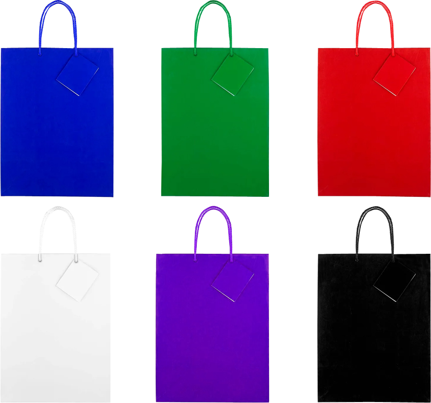 Assorted Large Glossy Gift Bags (10 x 13 x 5) - 6 Pack
