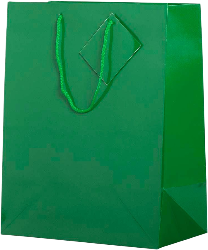 Assorted Large Glossy Gift Bags (10 x 13 x 5) - 6 Pack